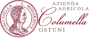 Azienda AgricolaColumella
